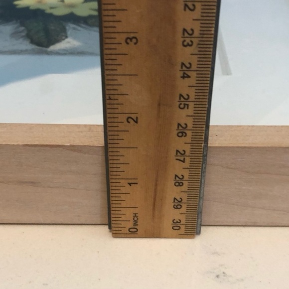 Color Etching by Wilhelm Loisel-Signed - Picture 7 of 7